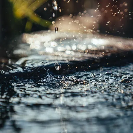 Alma&antonia Apartment