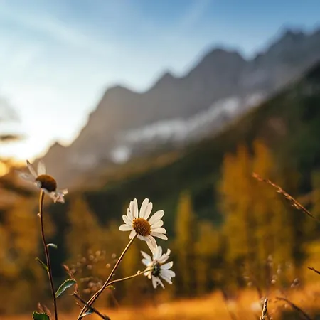 Apartament Alma&antonia Schladming