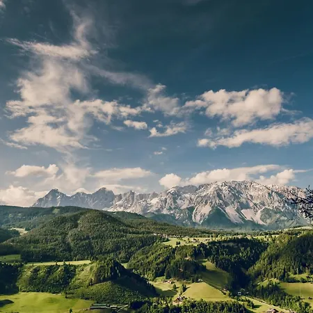 Apartament Alma&antonia