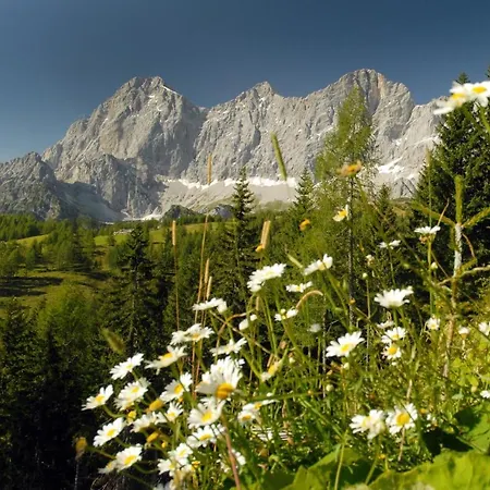 Apartament Alma&antonia