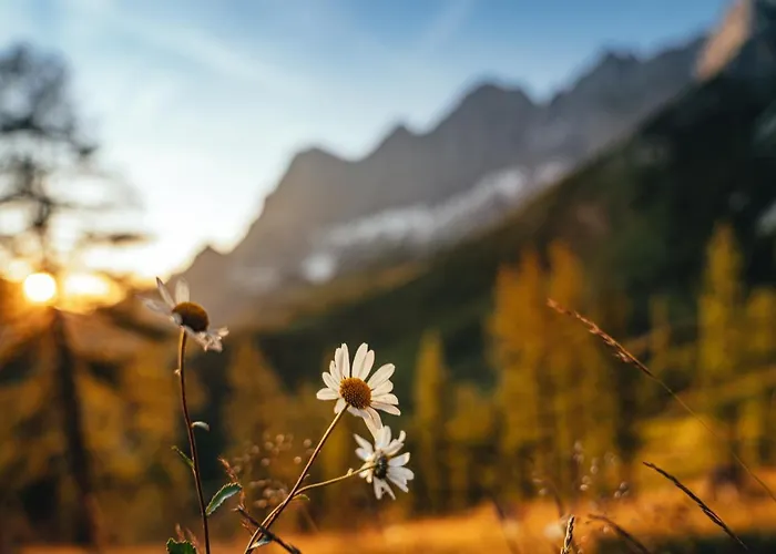 Lägenhet Alma&antonia Schladming