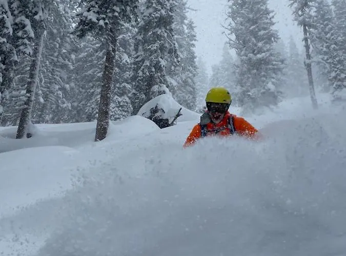 公寓 Alma&antonia *