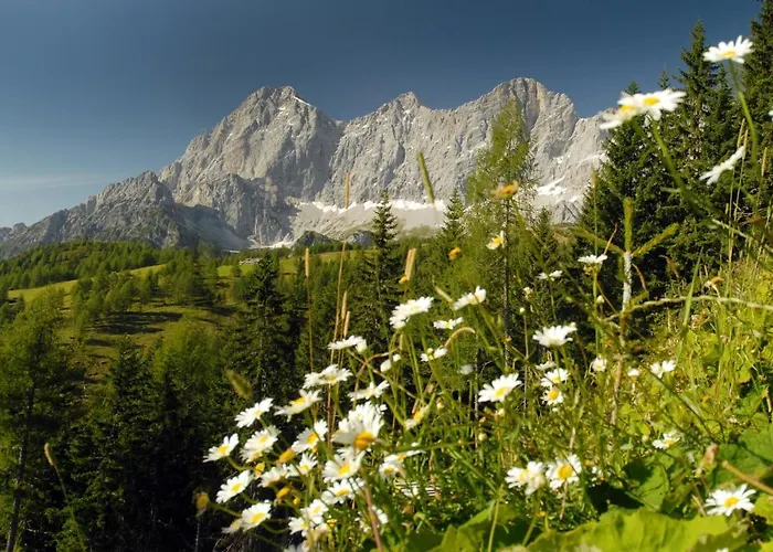 Lägenhet Alma&antonia